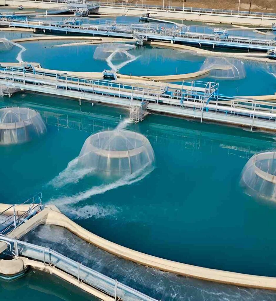 Water Treatment & Desalination